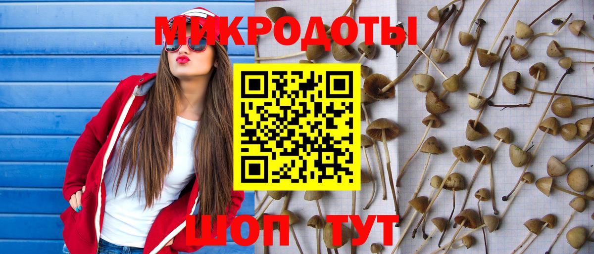 Галлюциногенные грибы Psilocybine cubensis Магнитогорск