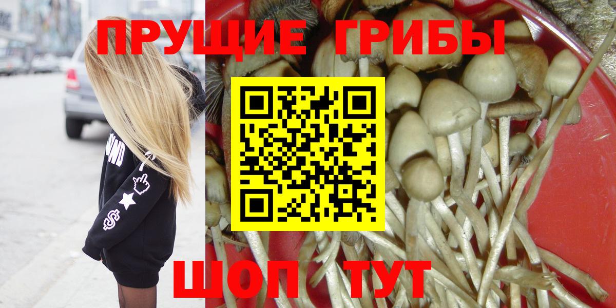наркотики  Вход с VPN  Магнитогорск  Псилоцибиновые грибы MAGIC MUSHROOMS 